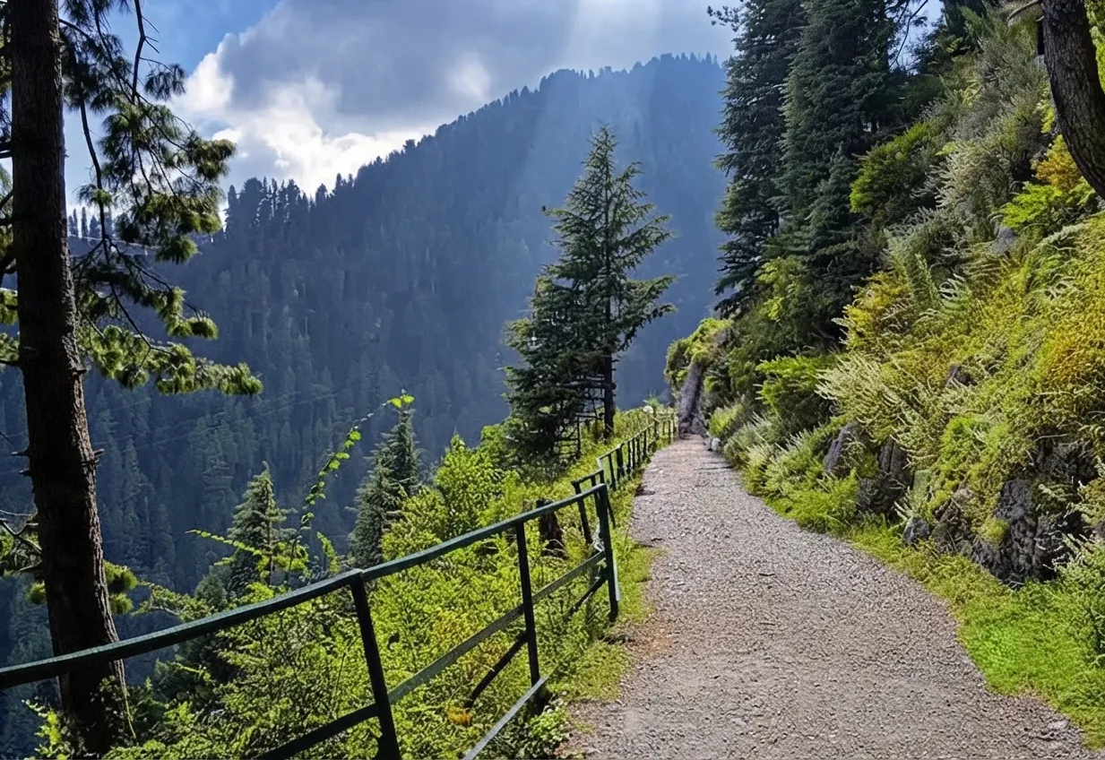 Thousands Crowd Mushkpuri Trail, Raising Concerns Over Safety and Sustainable Tourism