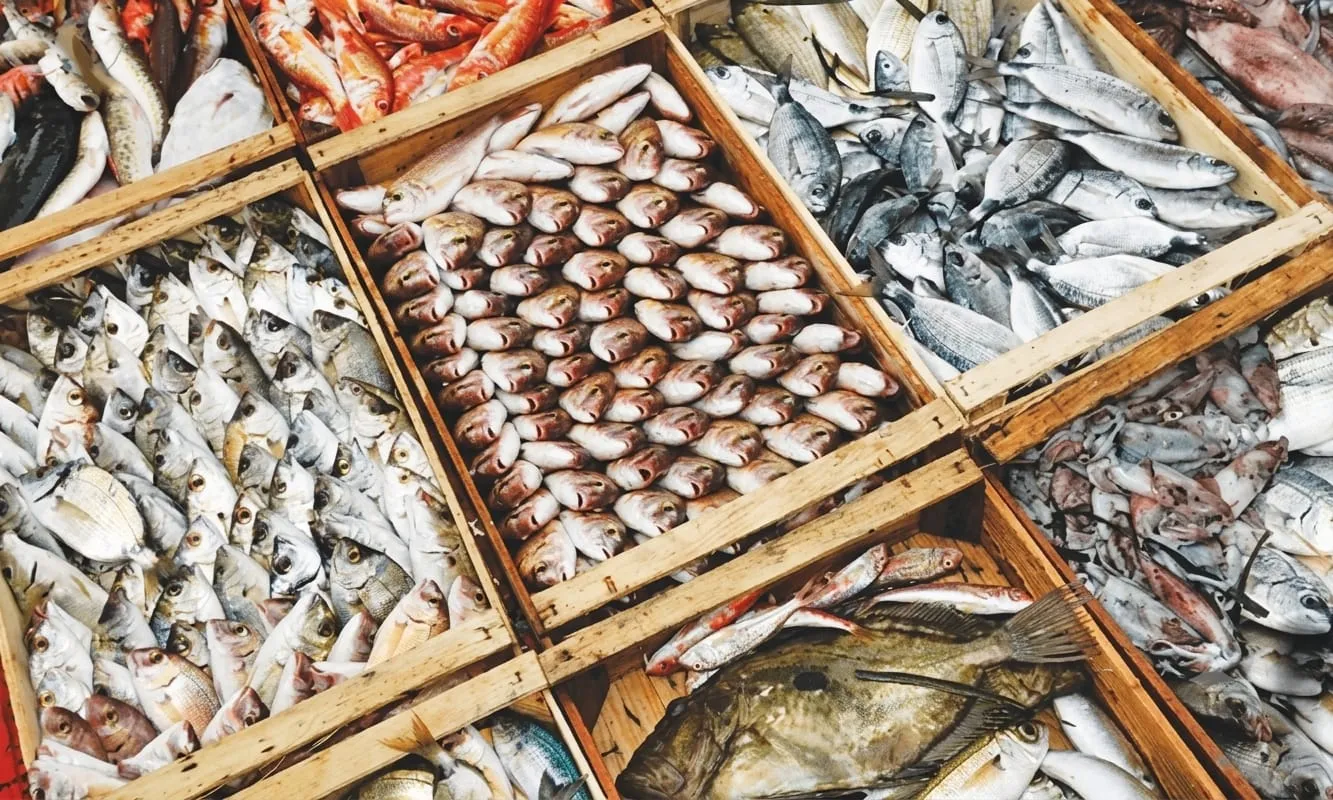 Pakistan's Seafood Export Figures Show Data Discrepancy Between Official Sources
