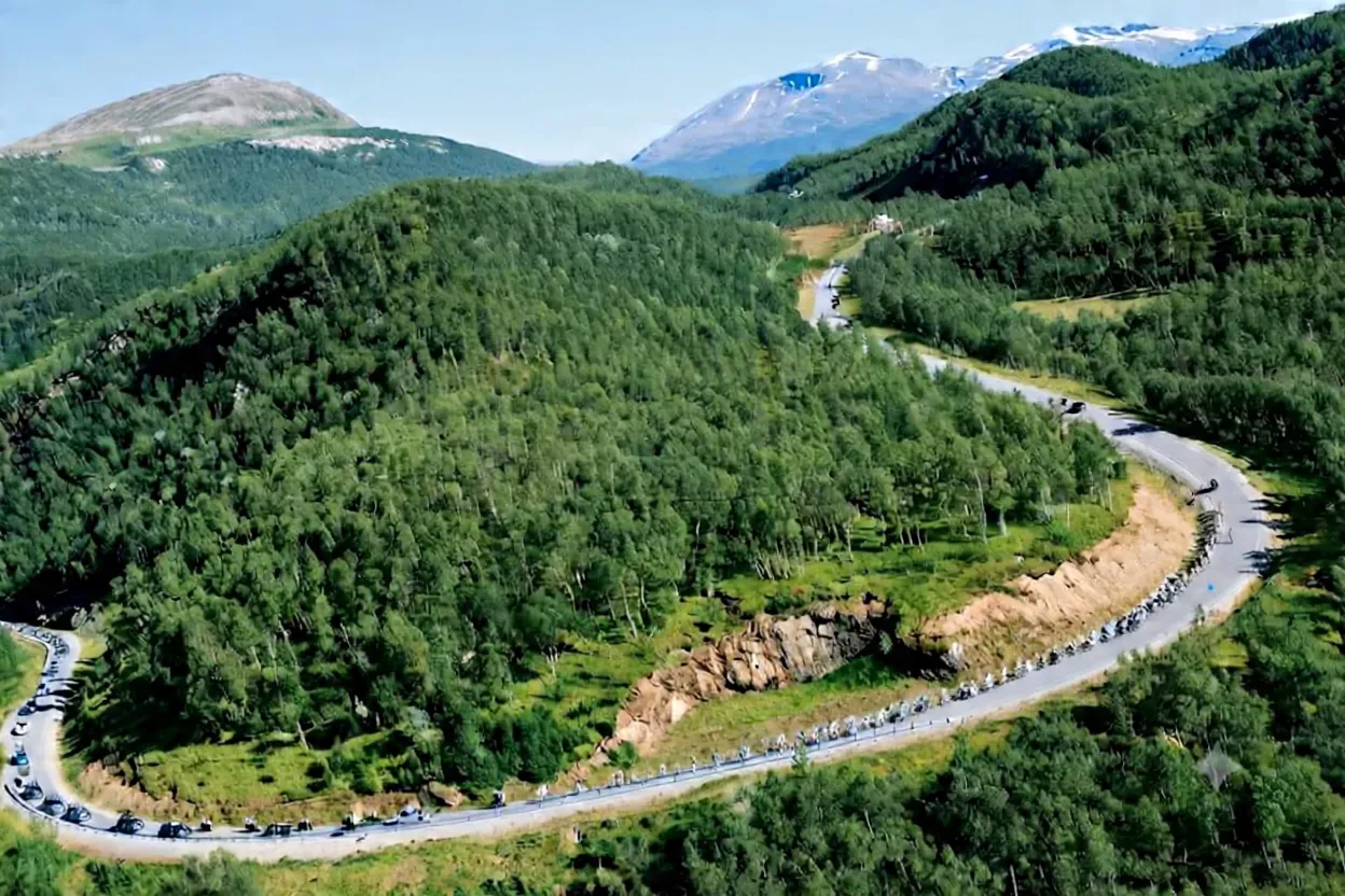 Norway Becomes First Country to Adopt Zero-Deforestation Policy
