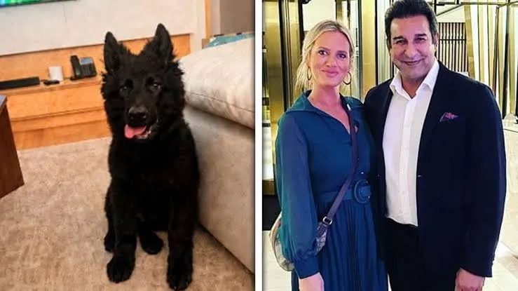 Wasim Akram's Missing Dog Found, Helpers Rewarded With Rs. 250,000